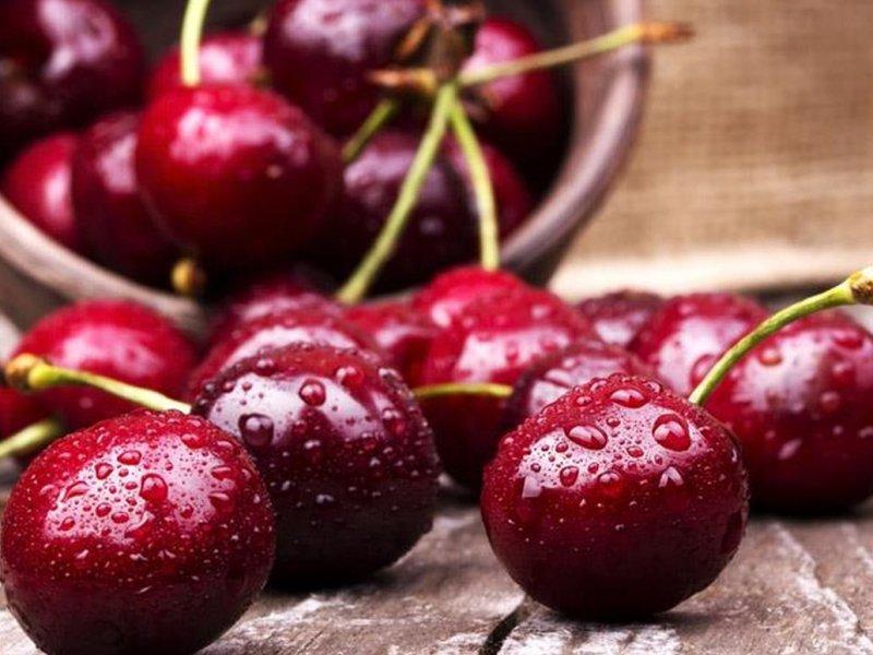 Вишня купить саженцы из питомника в Нерюнгри